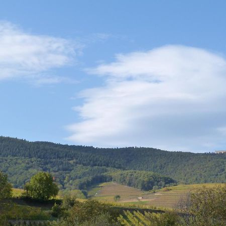 Apartmán Le Petit Nid Eguisheim Exteriér fotografie