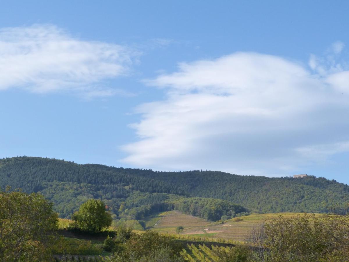 Apartmán Le Petit Nid Eguisheim Exteriér fotografie